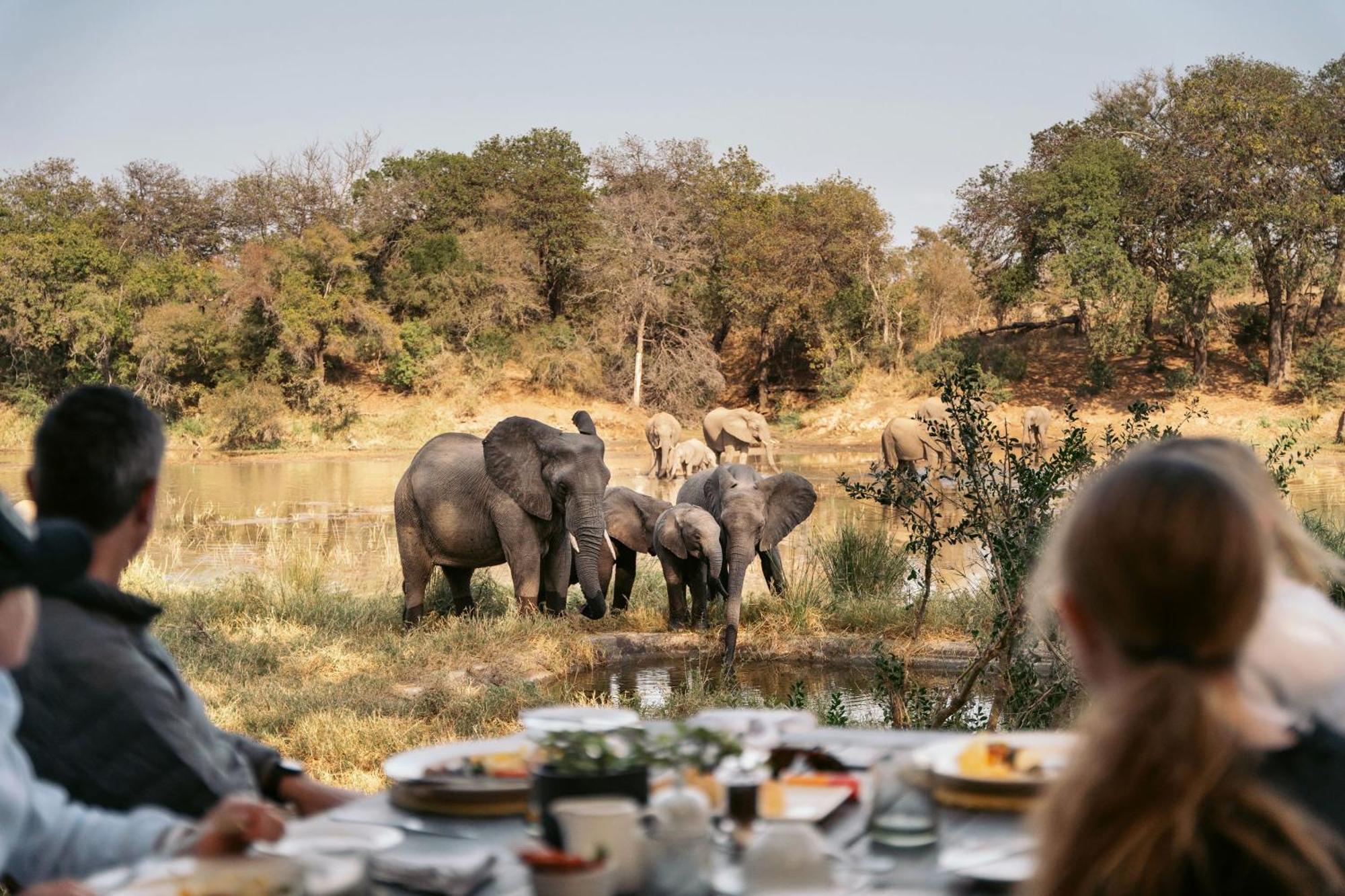 Simbavati River Lodge Timbavati Game Reserve Exterior photo