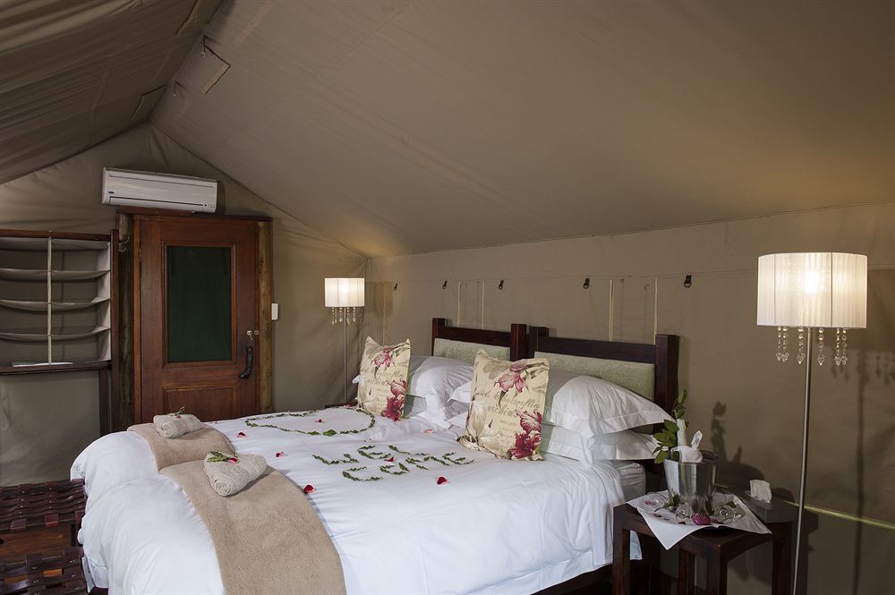 Simbavati River Lodge Timbavati Game Reserve Exterior photo